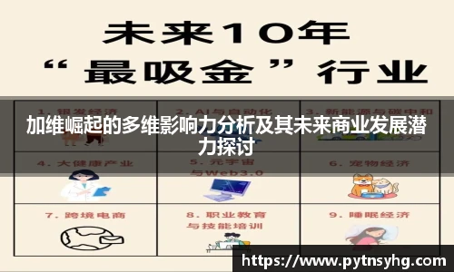 三亿体育网